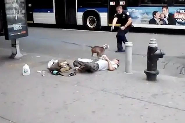 An NYPD officer shoots a dog in Manhattan this year. 